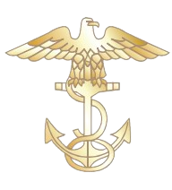 Cadet Chief Petty Officer Insignia