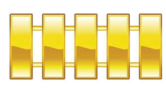 Cadet Commander Insignia