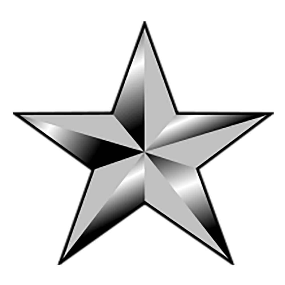 Brigadier General Insignia