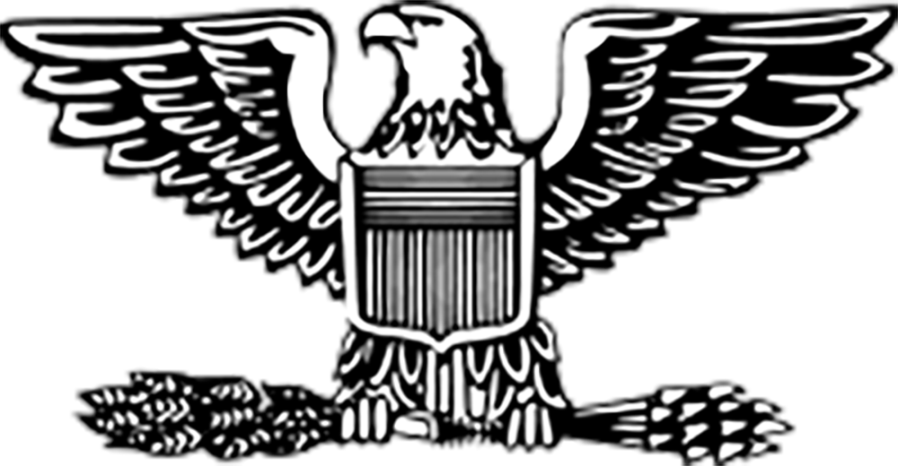 Colonel Insignia