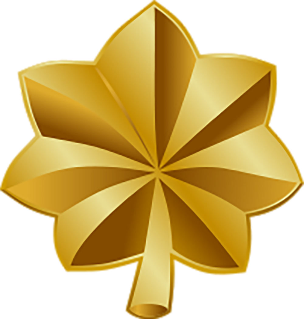 Major Insignia
