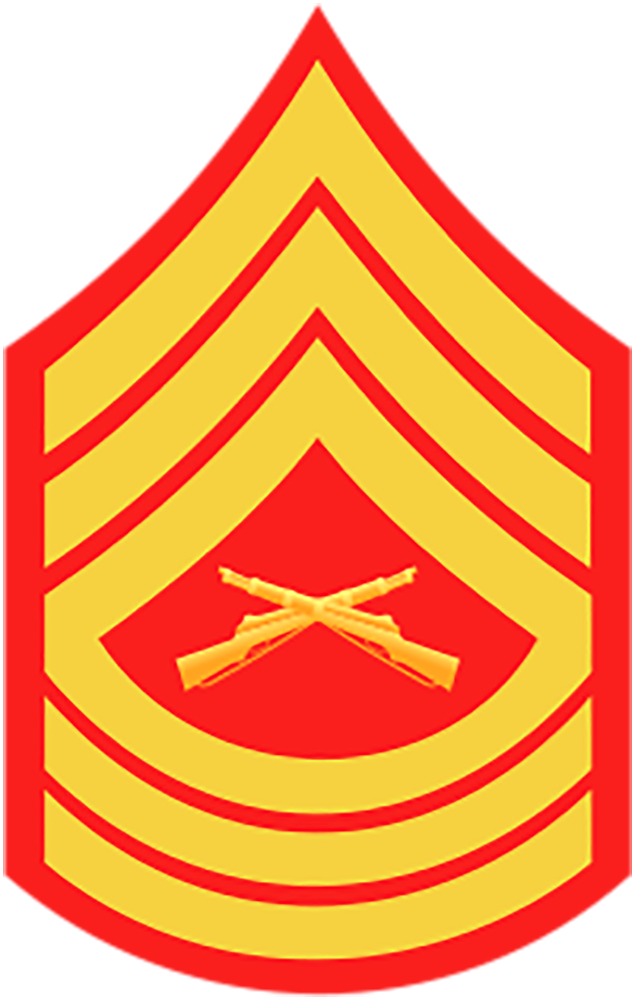 Master Sergeant Insignia