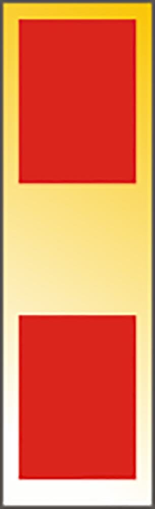 Warrant Officer 1 Insignia