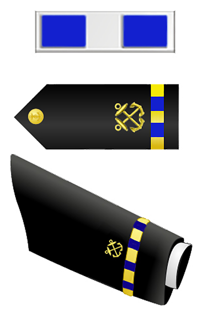 Chief Warrant Officer 3 Insignia