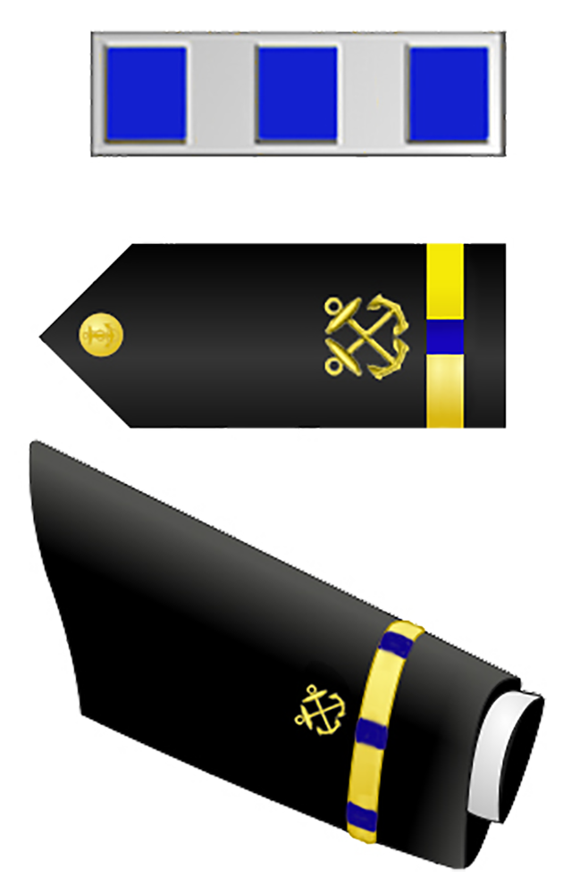 Chief Warrant Officer 4 Insignia