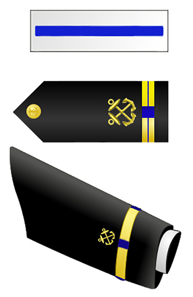 Chief Warrant Officer 5 Insignia